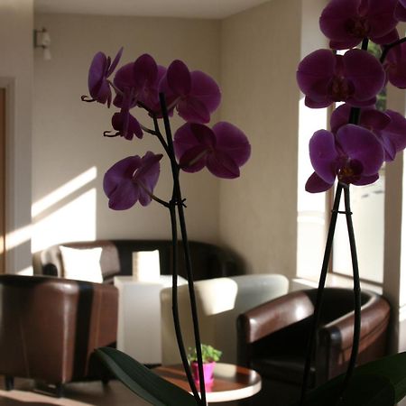 Saint-Chély-dʼApcher Hotel Bel Horizon מראה חיצוני תמונה
